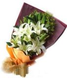 μʻٵ